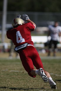 爱游戏官网app-五大联赛的魅力：不同国家球队的差异化风格，5大联赛球队综合实力排名