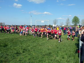 爱游戏app注册-青少年体育活动参与动机分析与提升，青少年体育活动参与动机分析与提升研究